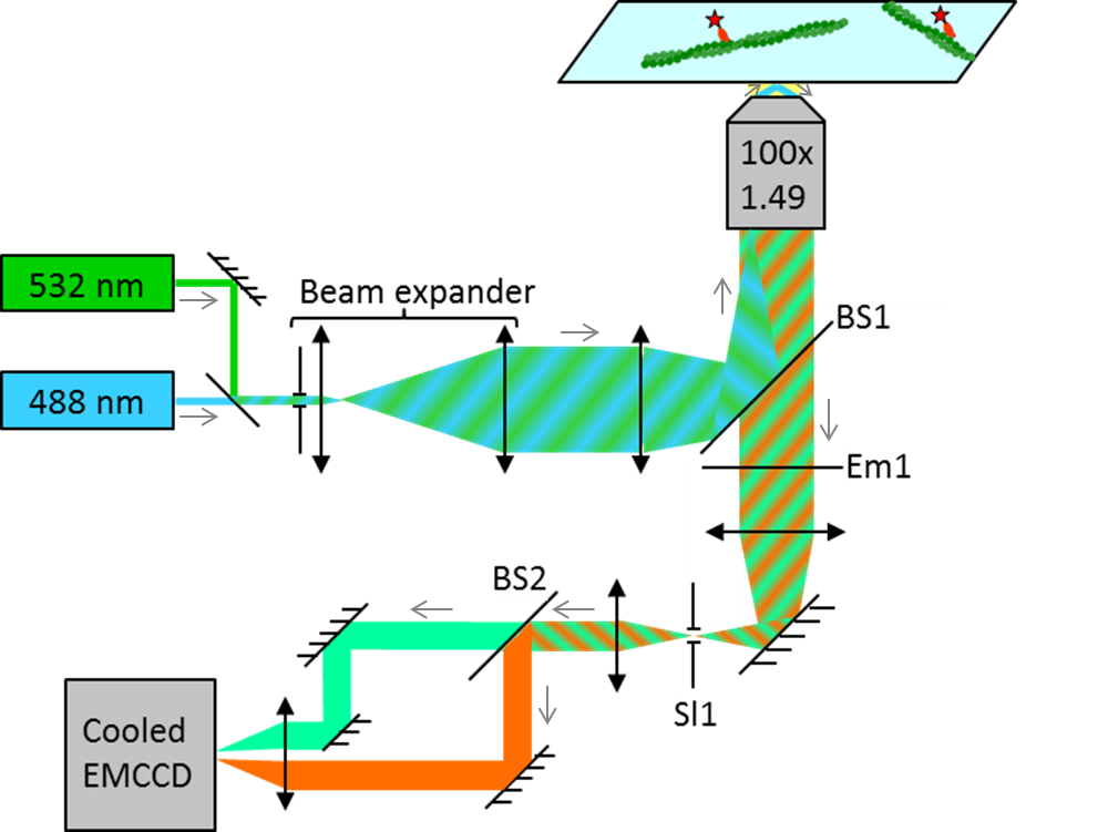 twocolortirf